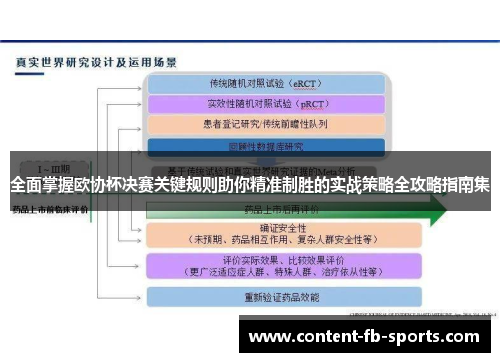 全面掌握欧协杯决赛关键规则助你精准制胜的实战策略全攻略指南集