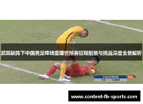 武磊缺阵下中国男足锋线重建世预赛征程前景与挑战深度全景解析